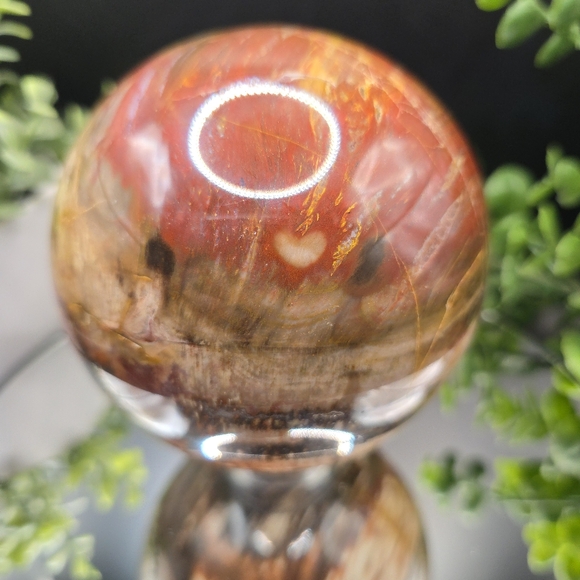 Petrified Wood sphere from Madagascar